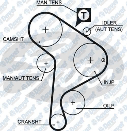 GATES 5223XS Triger Kayisi (137 Dis)(137x254) (514 Lahr 100) Golf Iii Passat Polo Caddy Ii  T4  Audi A4 Toledo Ibiza Ii Cordoba 1.9 D-Td 1991->